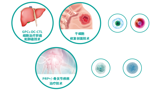 細胞治療技術研發(fā)